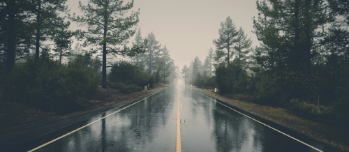 Outstanding wet performance 